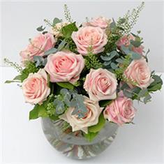 A Dozen pale pink Roses or More