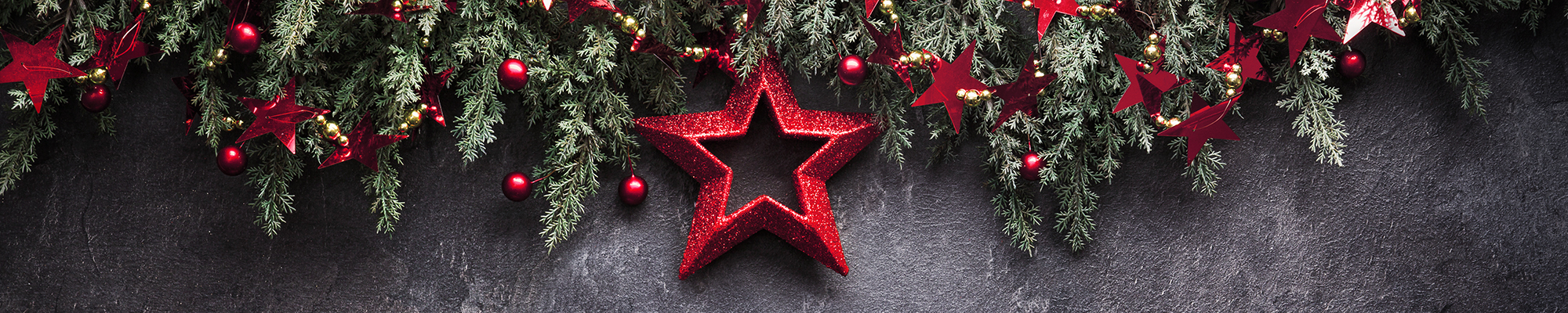 Beautiful Flowers 4u